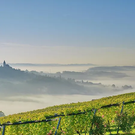 Winzerzimmer Scharl Gasthof Sankt Anna am Aigen