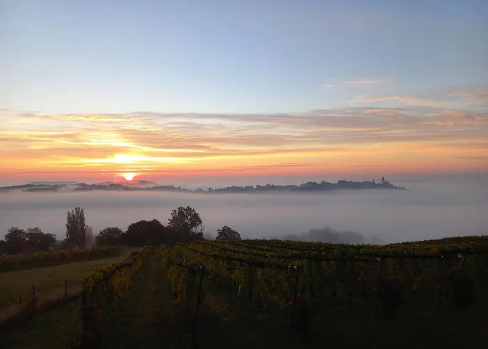 Winzerzimmer Scharl 3* Sankt Anna am Aigen